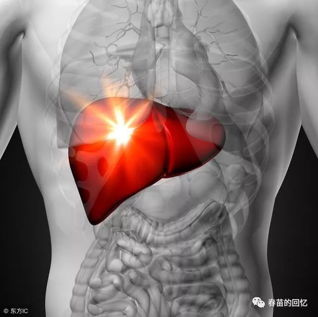 TCM Deficiency Syndromes: Yin Deficiency and Clinical Manifestations