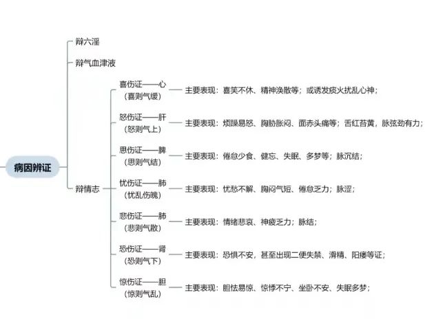 Understanding TCM Diagnosis: Eight Principles and Organ Differentiation to Enhance Your Diagnostic Skills