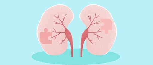 What is the Difference Between Kidney Yang Deficiency and Kidney Yin Deficiency? How to Nourish the Kidneys?