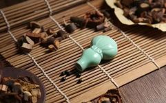 Ten Traditional Chinese Patent Medicines for Activating Blood Circulation and Resolving Stasis
