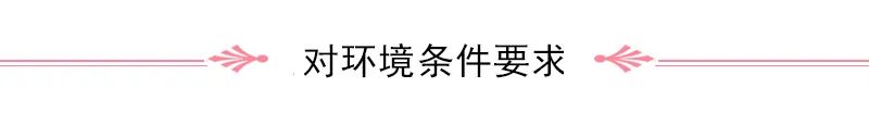 Overview of Rehmannia (Di Huang)