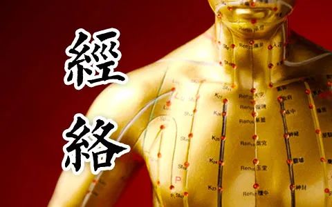 The Differences Between Eight Principles Diagnosis and Meridian Diagnosis in Traditional Chinese Medicine