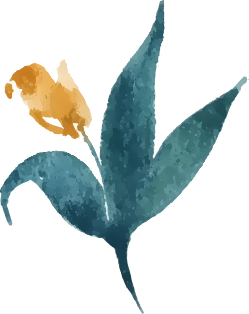 Dan Shen - A Comprehensive Overview of a Traditional Chinese Medicine Herb