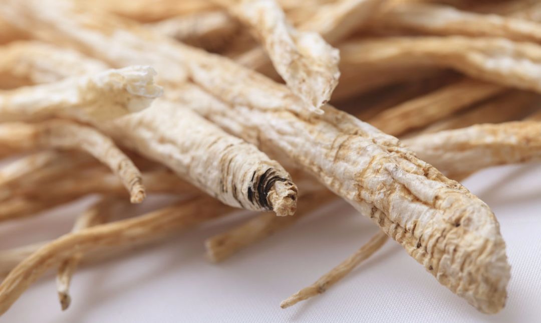Wild Codonopsis from Changbai Mountain: A Superior Tonic for Qi and Blood!