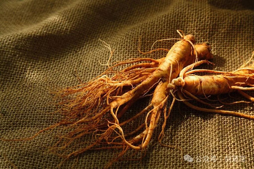The Timeless Formula for Strengthening the Body and Expelling Pathogens: Ren Shen Bai Du San