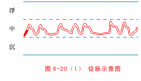 The Twenty-Eight Pulses and All Pulse Patterns in Traditional Chinese Medicine (Animated Illustrations)