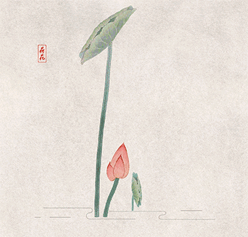 The Enigma of Chinese Medicine: The Regrets of "Bencao Gangmu" and the Lost Miraculous Herbs in History