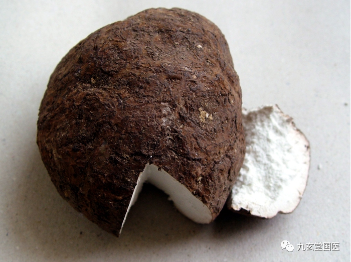 Poria Cocos: An Overview of Its Properties and Uses