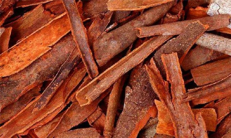 The Story of Cinnamon in Traditional Chinese Medicine