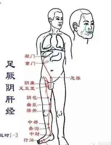 The Huangdi Neijing: Meridians, Determining Life and Death, Addressing Hundreds of Diseases
