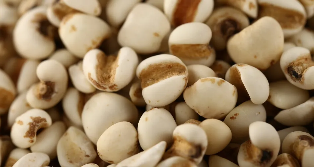 Traditional Chinese Medicine: The Benefits of Poria Cocos and Its Six Combinations for Strengthening the Spleen and Stomach, Promoting Diuresis and Resolving Dampness