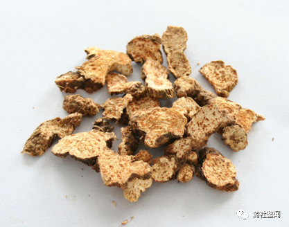 Traditional Chinese Medicine Herb - Cangzhu (Atractylodes)