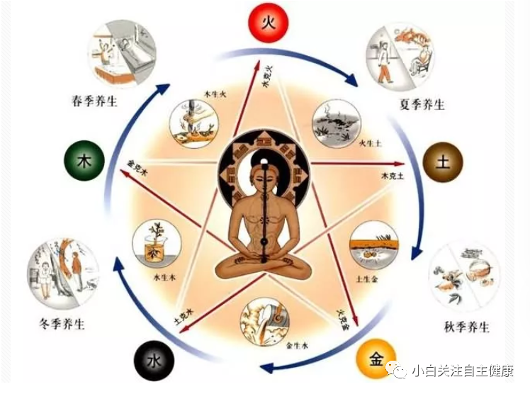 Introduction to the Huangdi Neijing