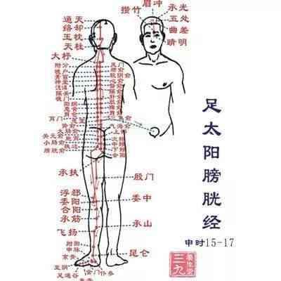 The Huangdi Neijing: Meridians, Determining Life and Death, Addressing Hundreds of Diseases