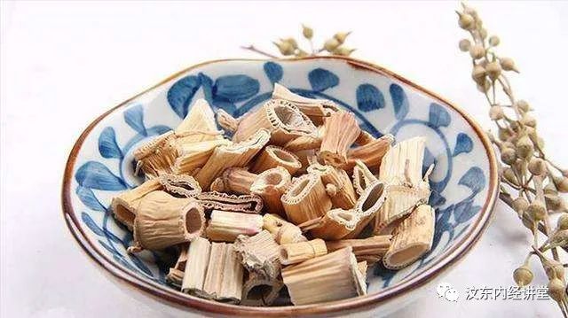 Understanding Wind-Heat Cold in Traditional Chinese Medicine