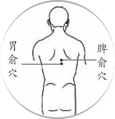 Nurturing Nine Types of Constitutions in Traditional Chinese Medicine