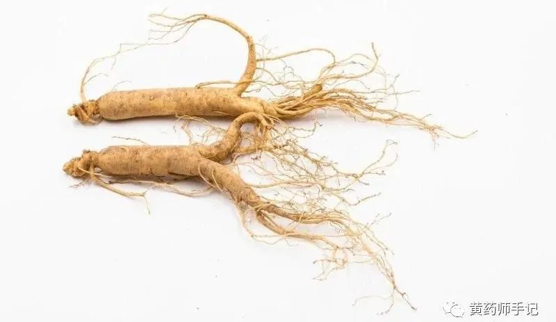 Is Real Ginseng Really So Magical? Its Uses in Emergency, Spleen Deficiency, Insomnia, Diabetes, Premature Aging, and Memory Improvement