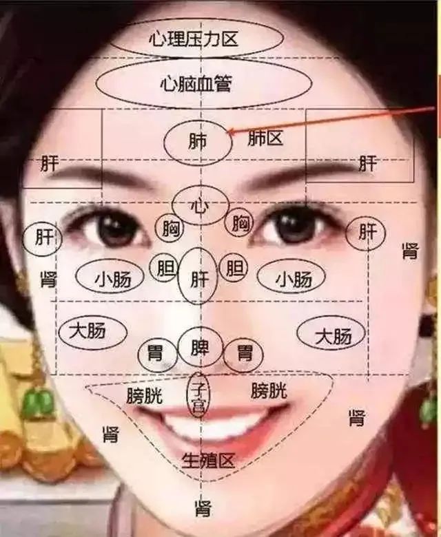 Comprehensive Guide to Observation Diagnosis in TCM: Understanding Shen, Head and Face, Lips, and Tongue Coating