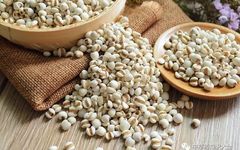 The Efficacy and Functions of Coix Seed (Yi Yi Ren)