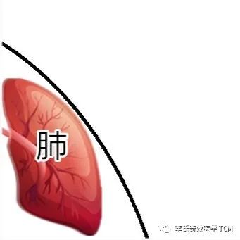 Tongue Diagnosis and the Five Organs Series Collection