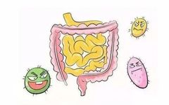 Treatment of Intestinal Damp-Heat Syndrome in Traditional Chinese Medicine