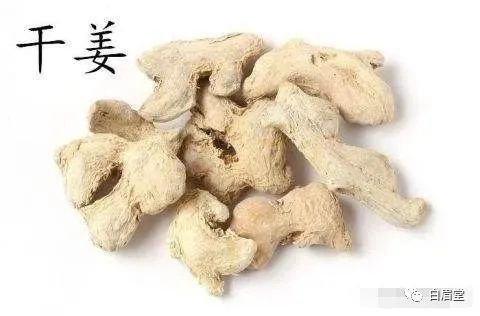 Ginger (Gan Jiang): A Comprehensive Overview of Its Properties and Uses in Traditional Chinese Medicine