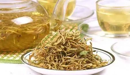 Honeysuckle: A Treasure for Health, Helping You Solve 5 Problems