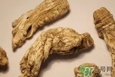 The Efficacy and Therapeutic Uses of Chuanxiong (Ligusticum chuanxiong)