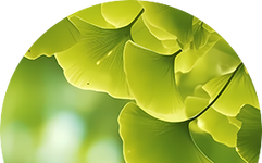 Understanding Yin Deficiency and Excess Heat in Traditional Chinese Medicine
