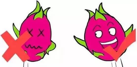 Understanding the Cold and Hot Properties of Fruits: A Comprehensive Guide