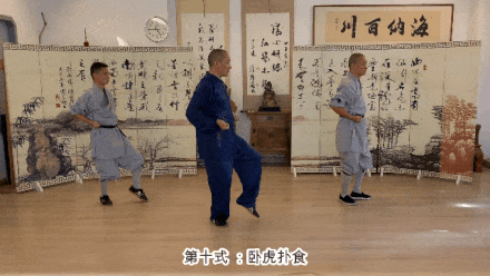Detailed Explanation of the Twelve Movements of the Ancient Yi Jin Jing