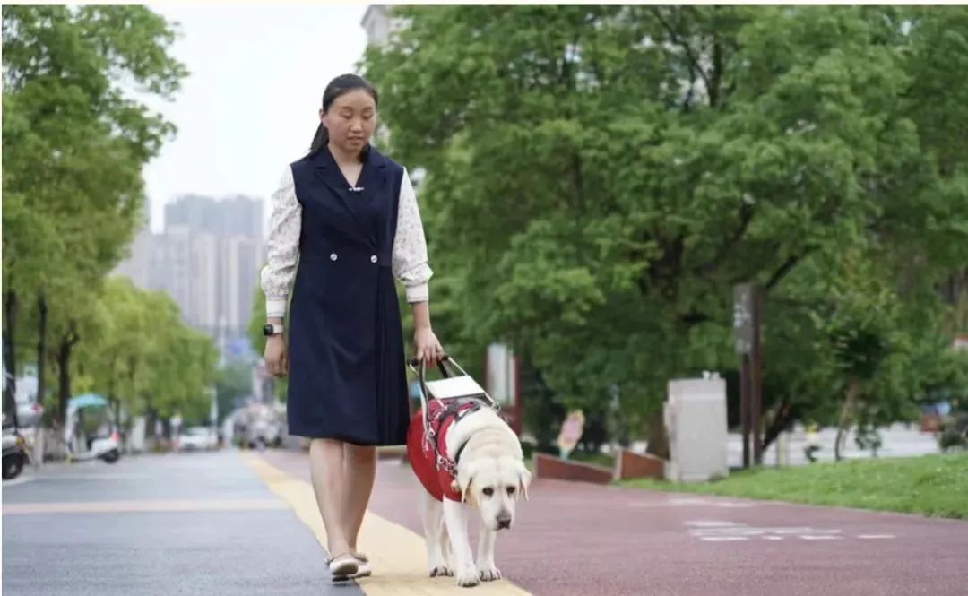 Guide Dogs: Leading the Way to an 'Accessible' Civilization