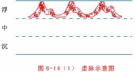Illustrated Guide to 28 Dynamic Pulse Diagnoses in Traditional Chinese Medicine