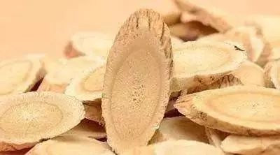 Is Astragalus Beneficial for Kidney Disease Patients?