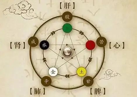 The Theory of the Five Organs and Their Spirits: Heart Houses the Shen, Lung Houses the Po, Liver Houses the Hun, Spleen Houses the Yi, Kidney Houses the Zhi!