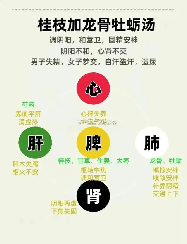 Eight Principles of Classical Formulas in the Treatise on Cold Damage: Unveiling the Essence of Zhang Zhongjing's Medicine!