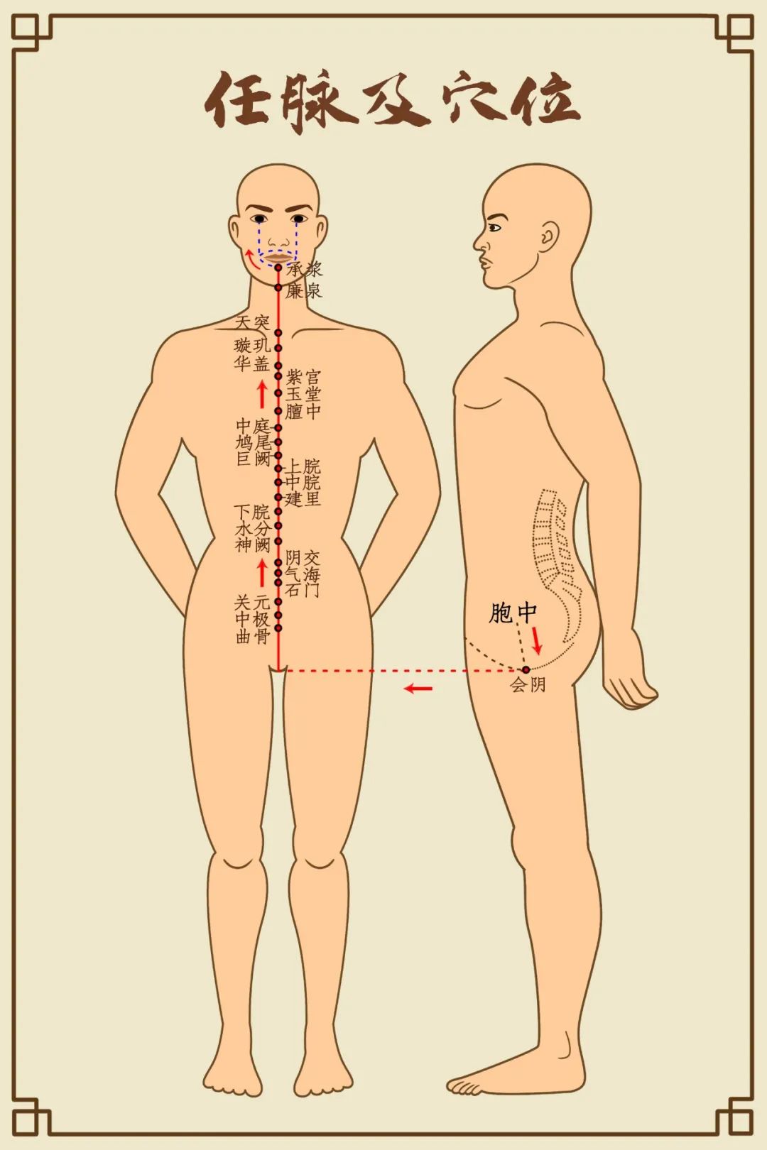 Comprehensive Diagram of Human Meridians (Recommended for Collection)