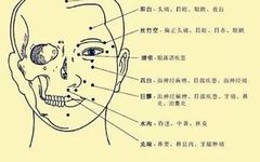 Comprehensive Human Acupuncture Points Chart and Their Functions (A Must-Bookmark)