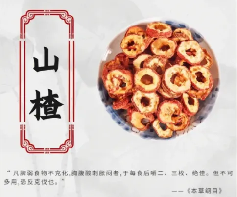 Common Medicinal and Edible Herbs in Traditional Chinese Medicine