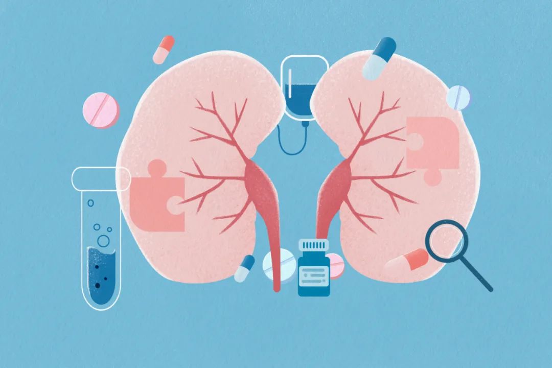 Nourishing Kidney Yin and Supplementing Kidney Yang: Understanding Kidney Yin Deficiency and Kidney Yang Deficiency