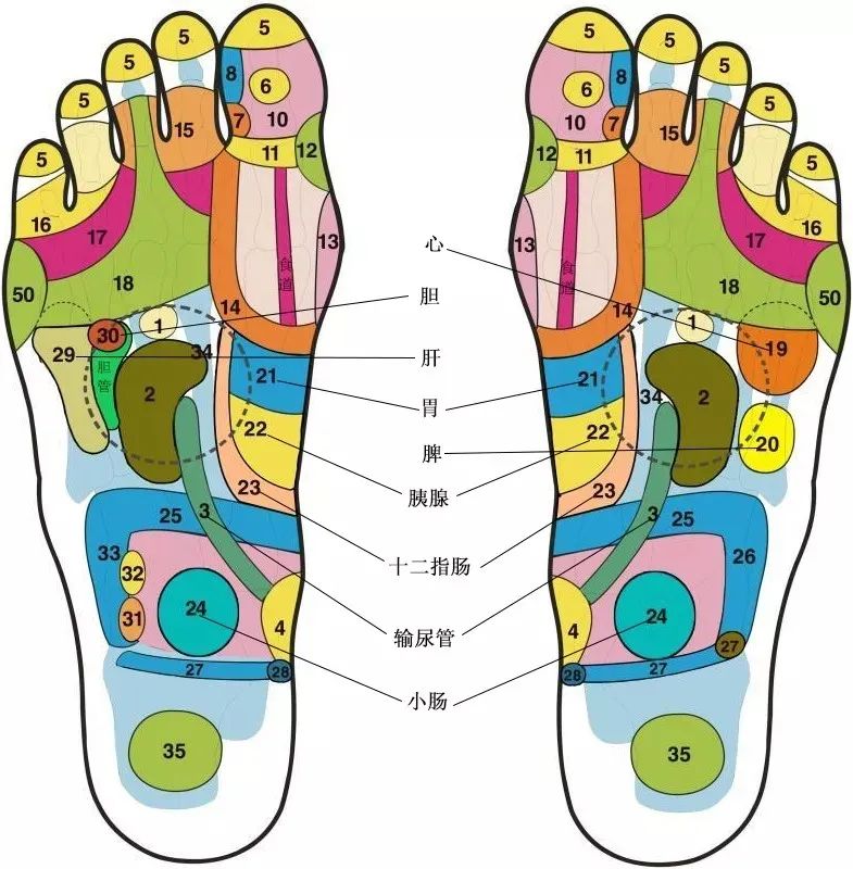 Liver Qi Stagnation: How Traditional Chinese Medicine Can Help