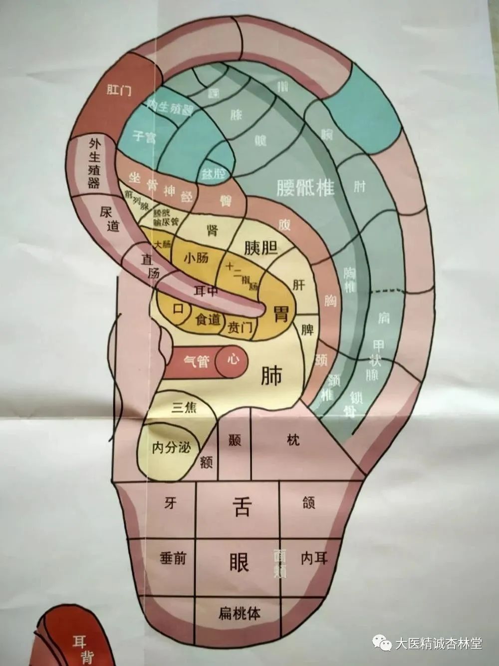 Liver Qi Stagnation: How Traditional Chinese Medicine Can Help