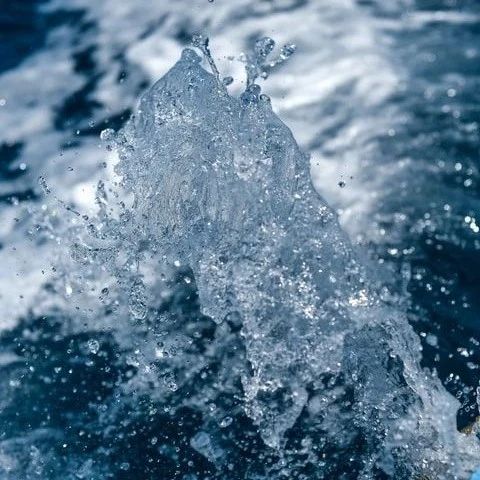 The Premier Formula for Eliminating Damp-Heat in Traditional Chinese Medicine