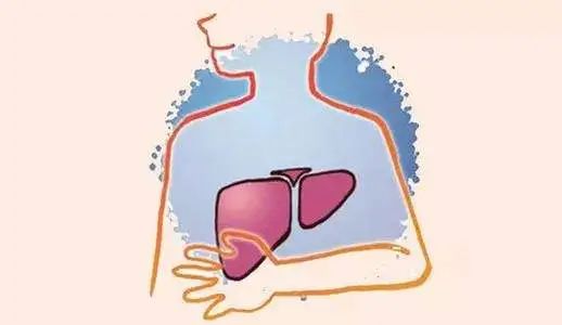 Bai Shao: The Premier Herb for Liver Nourishment and Blood Enrichment!