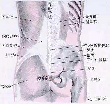The Fifteen Collaterals in Traditional Chinese Medicine