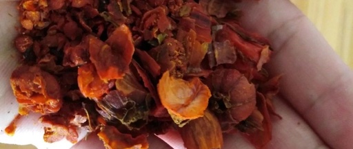 Discussion on Summer Heat and Dryness in Traditional Chinese Medicine