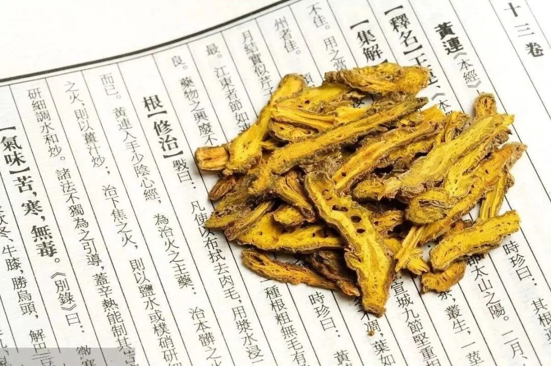 Huang Lian: Bitter and Effective for Clearing Heat and Treating Dysentery