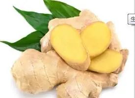 Understanding the Differences Among Various Types of Ginger in Traditional Chinese Medicine