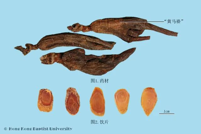Understanding the Classification of Ginseng for Better Health Benefits