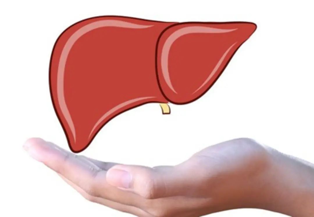 Traditional Chinese Medicine: Liver Qi Stagnation? Learn 5 Acupoints to Soothe the Liver and Relieve Depression, Nature's Own Longdan Xiegan Wan